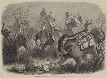 Tijgerjacht in India